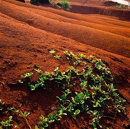 《战争边缘》4月率先登陆Stream 经典高级战争风格SLG